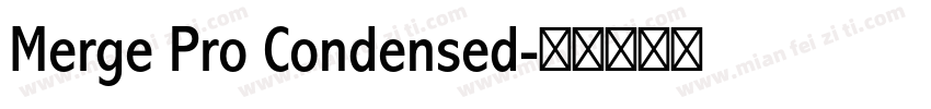 Merge Pro Condensed字体转换